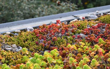 the cost of Stepaside green roof installation