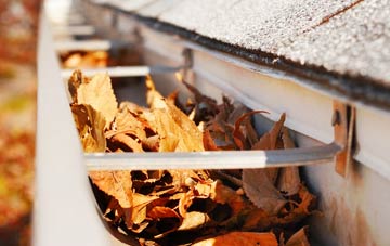 Stepaside gutter cleaning companies