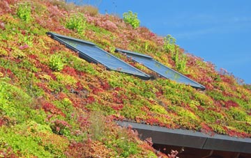 Stepaside living roof systems